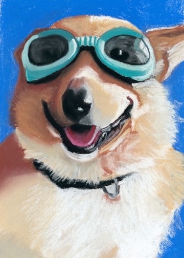 Corgi in goggles
