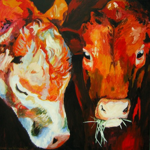 D262 cows 36