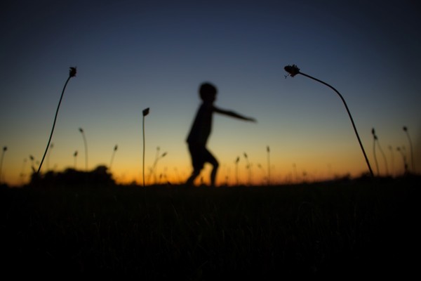 Sunset Pixie (12)