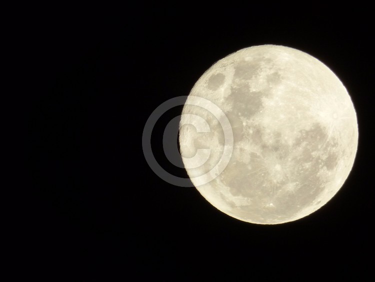 Full Moon