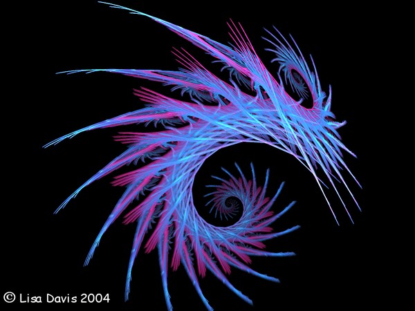 Blue Shrimp