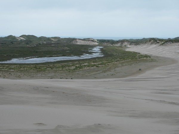 the dune Raaabjerg mile