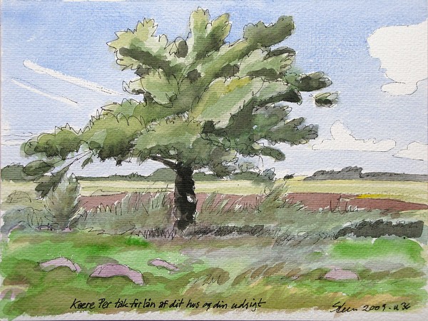 the watercolor from the summercabin