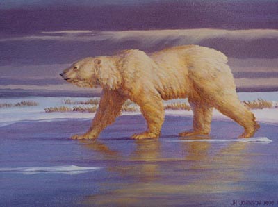 Polar Dawn