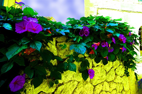 Repainting the World 02