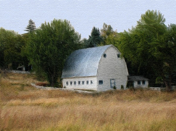 Katie's Farm