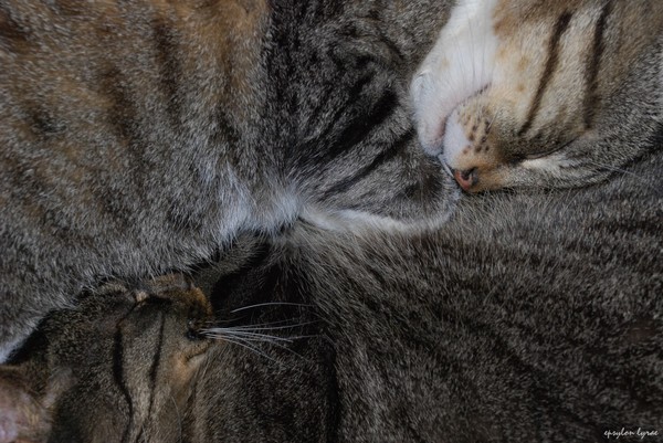 Together