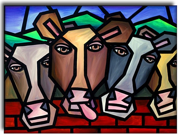 Cows