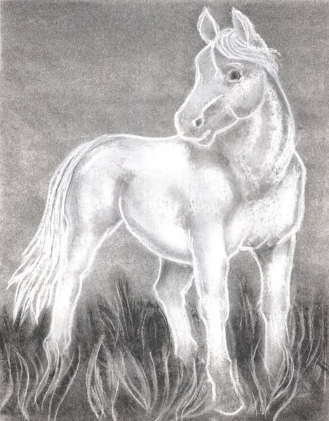 White Horse