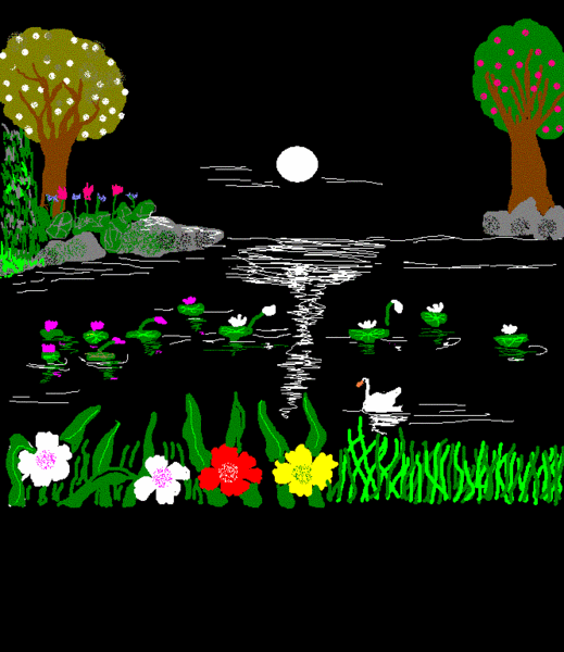 tranquility pond
