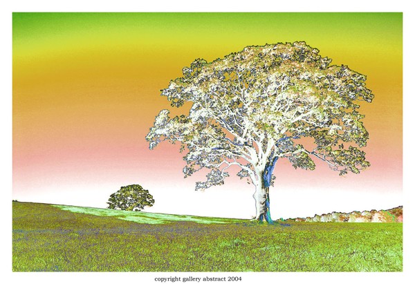 White Tree #1