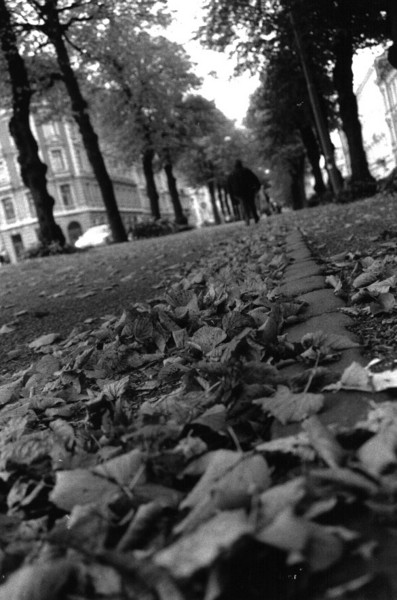 Fallen