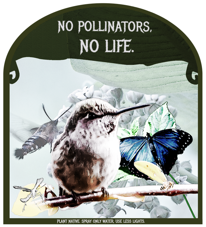 No Pollinators, No Life