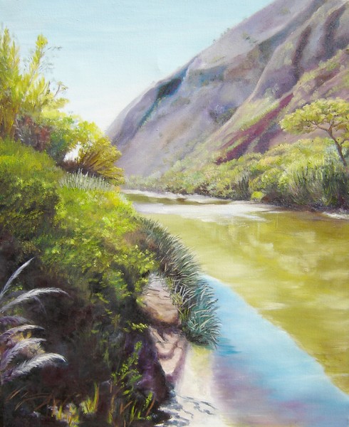 Pampa grass on the bend of the river.