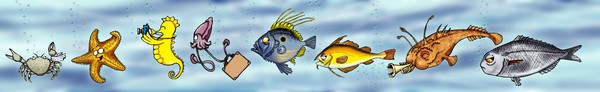 animals in the sea