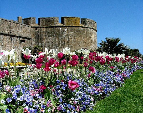 St Malo Floral Display.