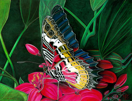 TROPICAL LACEWING BUTTERFLY