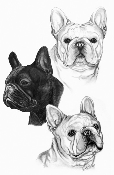 Frenchie Collage