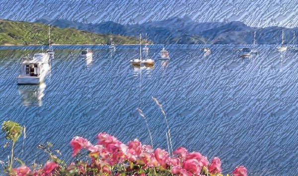 Waikawa bay