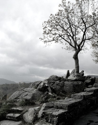 Two Mile Run Overlook-BRP