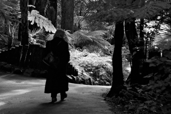walks in the gardens on a wintry sunday