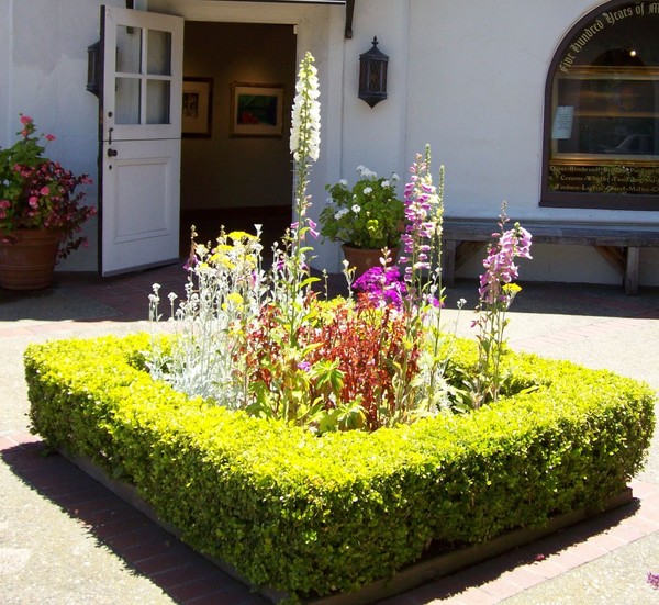 Carmel Floral