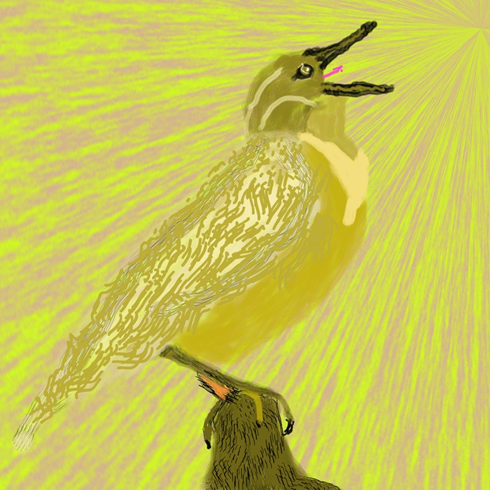 Yellow Meadowlark on Green P185a