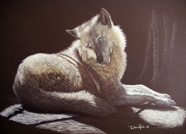Wolf