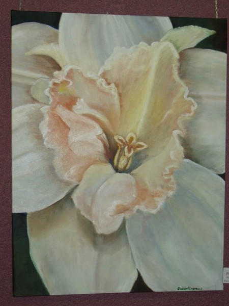 Pink Orchid