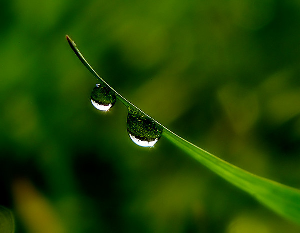 Drops