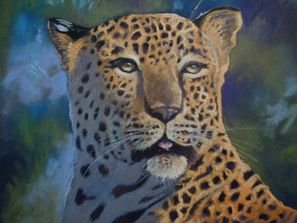 Leopard