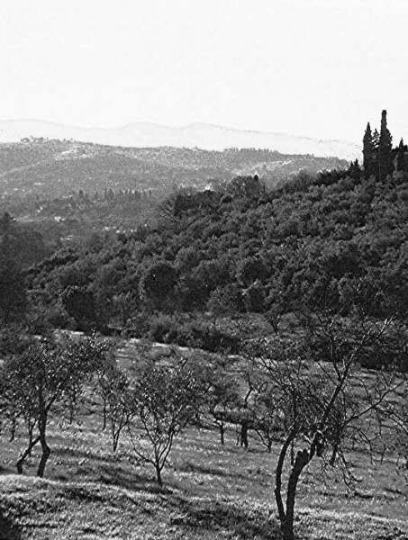 The Hills of Tuscany