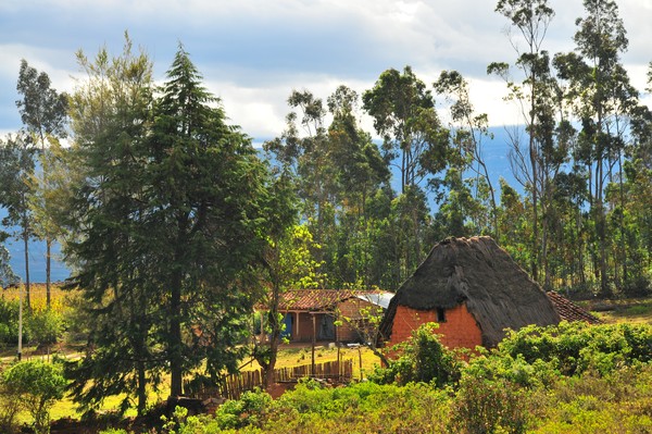 Hansel and Gretel's chocolate house
