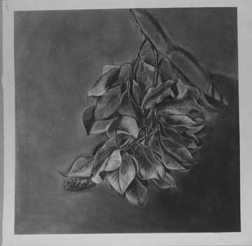 branch