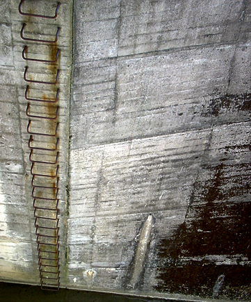 ladder