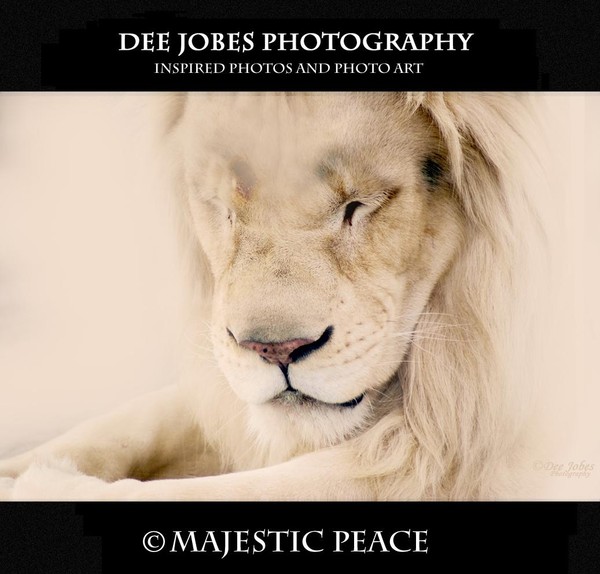 MAJESTIC PEACE