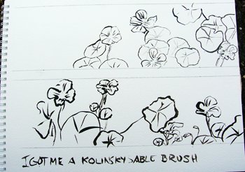 Kolinsky Brush and Sennelier Ink
