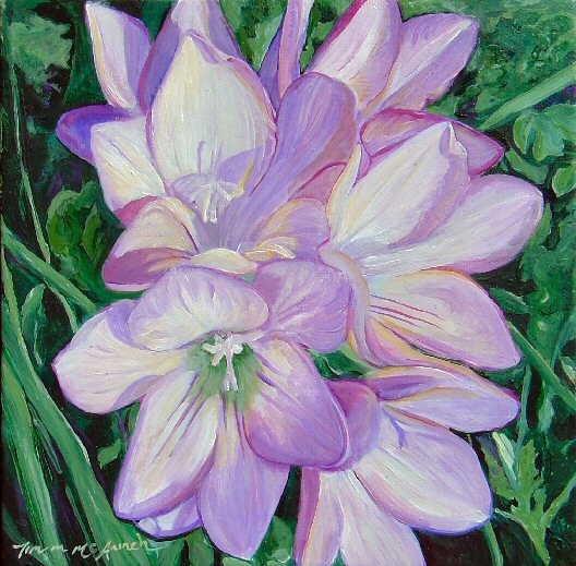 Freesias