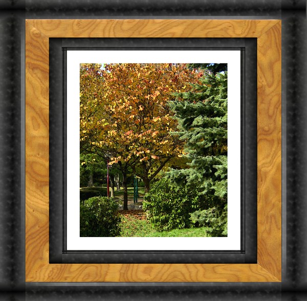 Autumn In The Park (Sixteen)