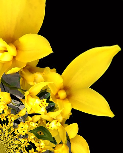 Focus On The Yellow Flowers (Two)