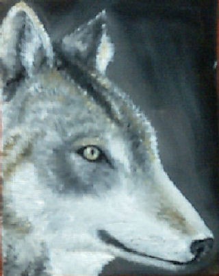 Wolf