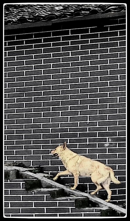 Gog in Bricks