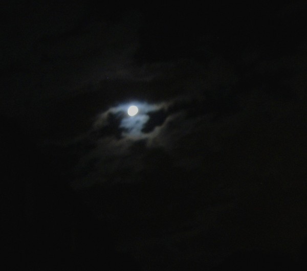 Moon Shot