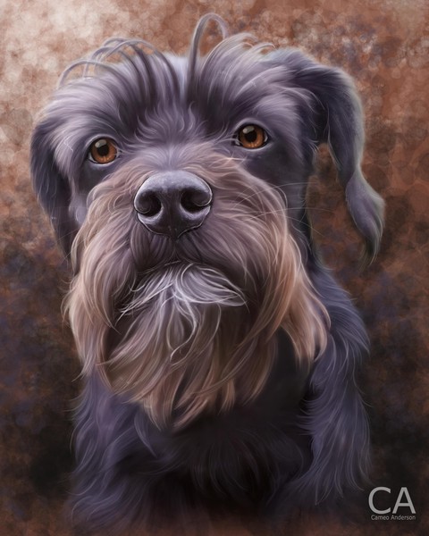 The Face Of Dog