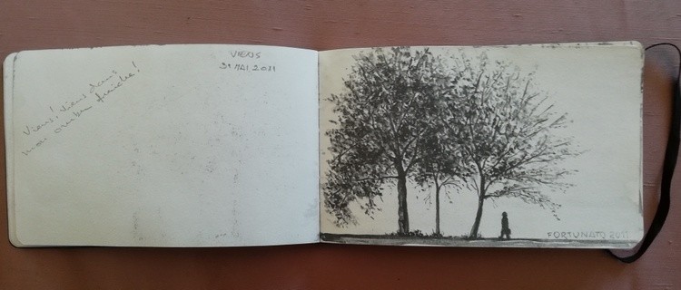 Viens