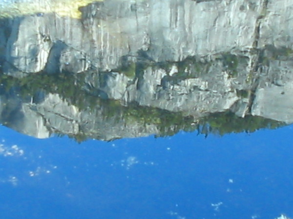 reflection