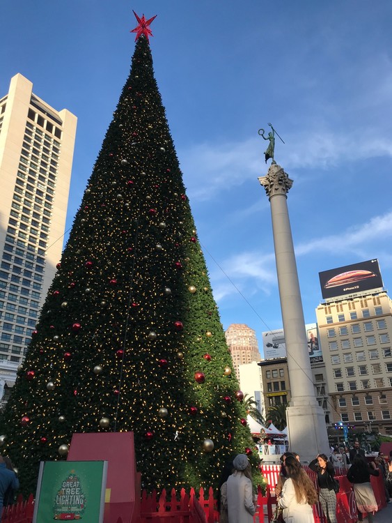 Macy's Tree at Union Square