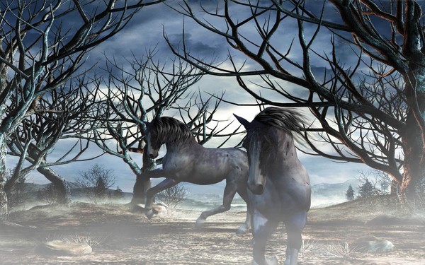 Painted Ponies 2