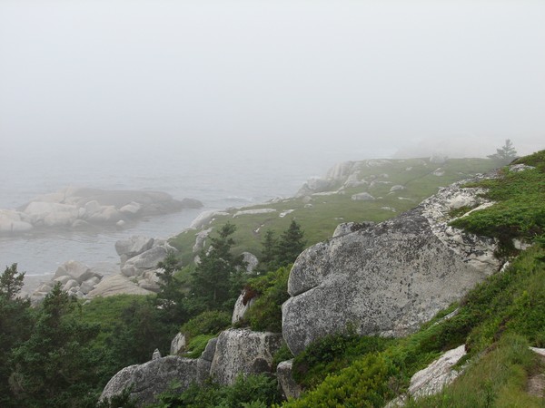Ringed in Mist
