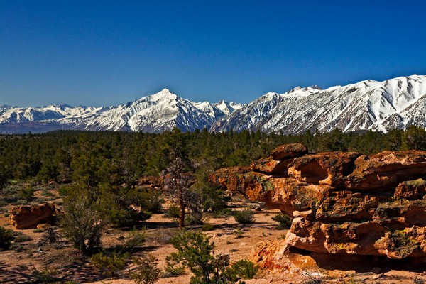 View of Sierras from Casa Diablo
